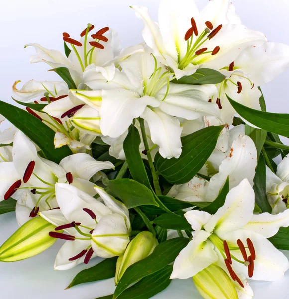 Flores lírios adornados com pedras e decorações diferentes . — Fotografia de Stock