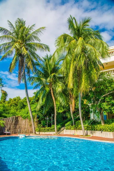 High, beautiful palm trees rostut poolside, around a luxury hotel. tropics asia — Stock Photo, Image