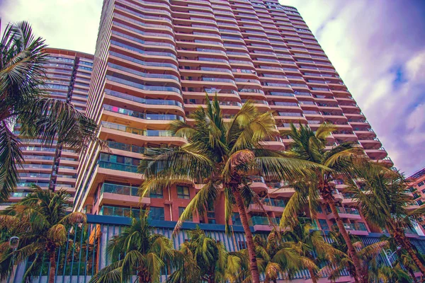 Vysoké mrakodrapy, chodníky a krásné palmy. Palmové stromy vysázeny podél silnice, v tropech — Stock fotografie