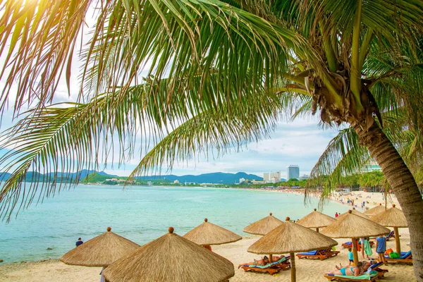 Vysoký, krásné palmy visí nad mořem, na pobřeží stojan s doškovými slunečníky, sunny paradise. Tropical — Stock fotografie