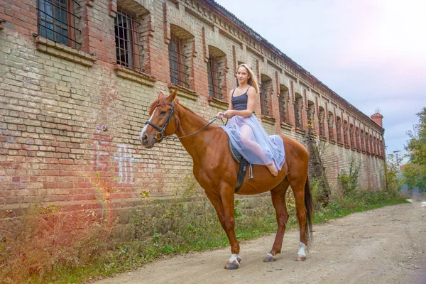 Uma jovem, menina loira posando com um cavalo, uma menina bonita e um cavalo forte . — Fotografia de Stock