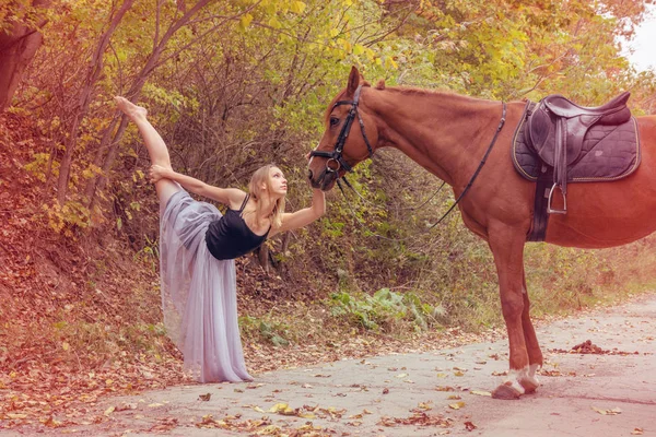 Jonge mooie danseres, poserend met een paard in de bossen, flexibele gymnast. — Stockfoto