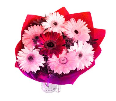 Beyaz bir arka plan üzerinde gerbera, arka plan olmadan izole çiçekler büyük güzel buket. sürü büyük renk. 
