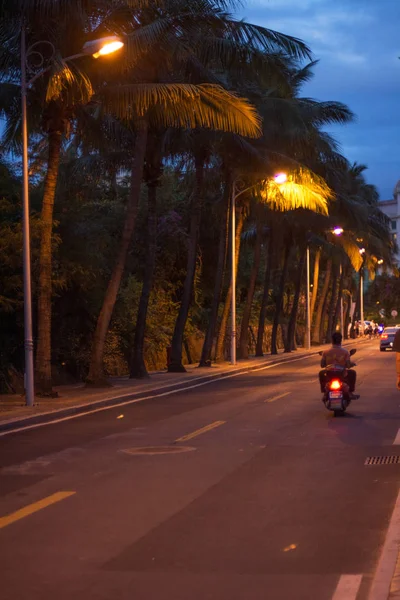 tall skyscrapers and beautiful palms, night city in the tropics, the combination of nature and architecture.