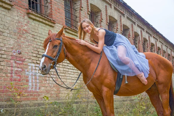 Ein junges, blondes Mädchen posiert mit einem Pferd, einem schönen Mädchen und einem starken Pferd. — Stockfoto