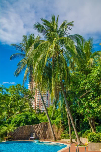 High, beautiful palm trees rostut poolside, around a luxury hotel. tropics asia — Stock Photo, Image
