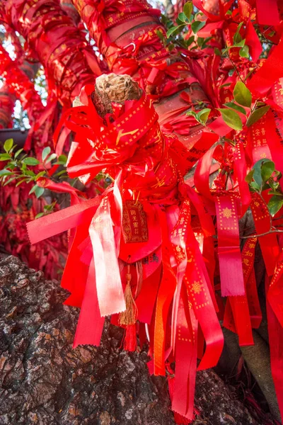 Árboles altos está completamente decorado con cintas rojas. muchas cintas rojas atadas a los árboles. Países Bajos —  Fotos de Stock