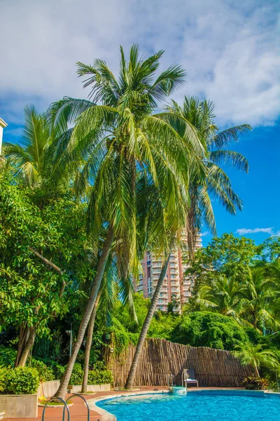 High, beautiful palm trees rostut poolside, around a luxury hotel. tropics asia — Stock Photo, Image