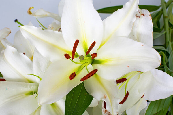 flowers lilies adorned with stones and different decorations. 