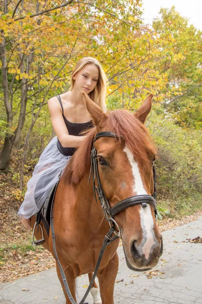 Una joven rubia posando con un caballo, una hermosa chica y un caballo fuerte . — Foto de Stock