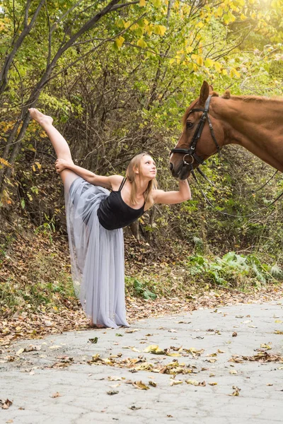 Mladé krásné tanečnice, pózuje s koněm v lese, pružná gymnastka. — Stock fotografie