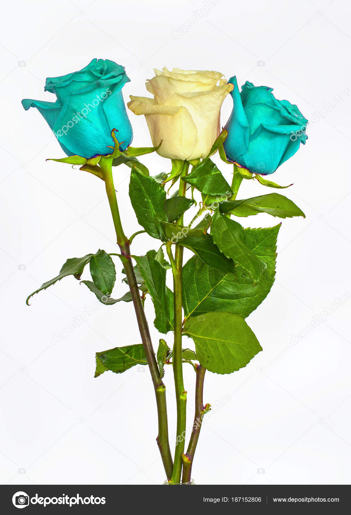 Grand Beau Bouquet De Fleurs Blanches Et Vertes Bleues Roses