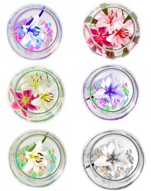 bir sürü olmadan arka planda, güzel zambak çiçekler çok sayıda izole lilyum. 