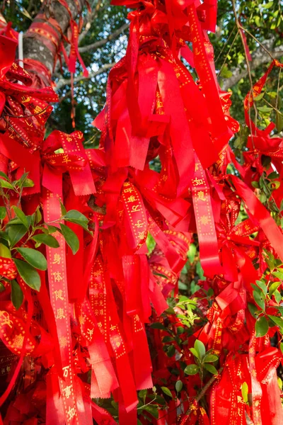 Hoge bomen is volledig versierd met rode linten. veel rode linten gebonden aan bomen. Asia — Stockfoto