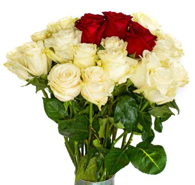 İzole arka plan renklerini olmadan arka planda, parlak sulu gül kırmızı gül, 