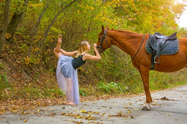Mladé krásné tanečnice, pózuje s koněm v lese, pružná gymnastka. — Stock fotografie
