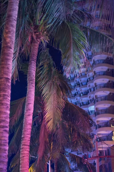 Vysoké mrakodrapy a krásné palmy, noční město v tropech, kombinace přírody a architektury. — Stock fotografie