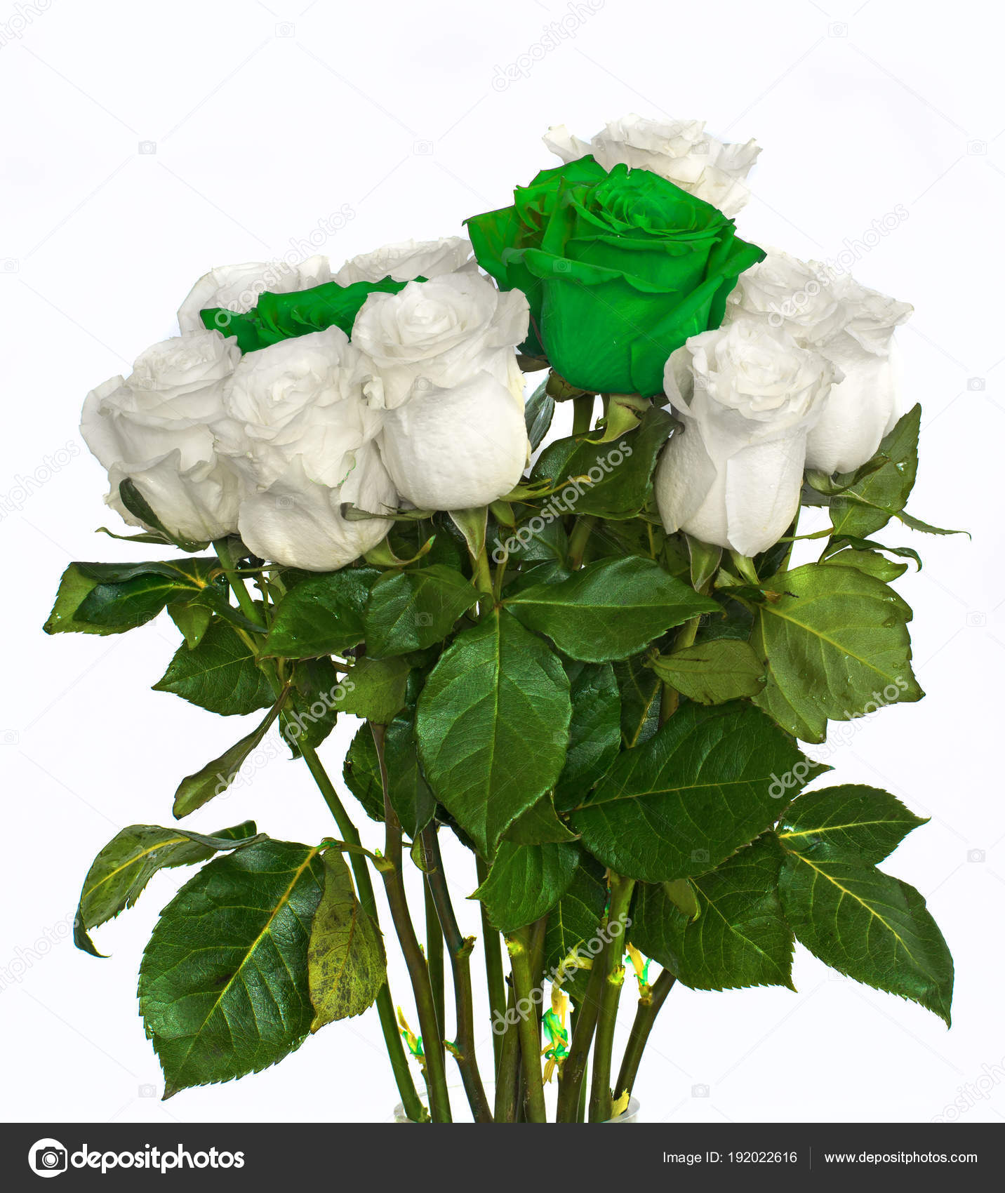 Grand Beau Bouquet De Fleurs Blanches Et Vertes Bleues Roses