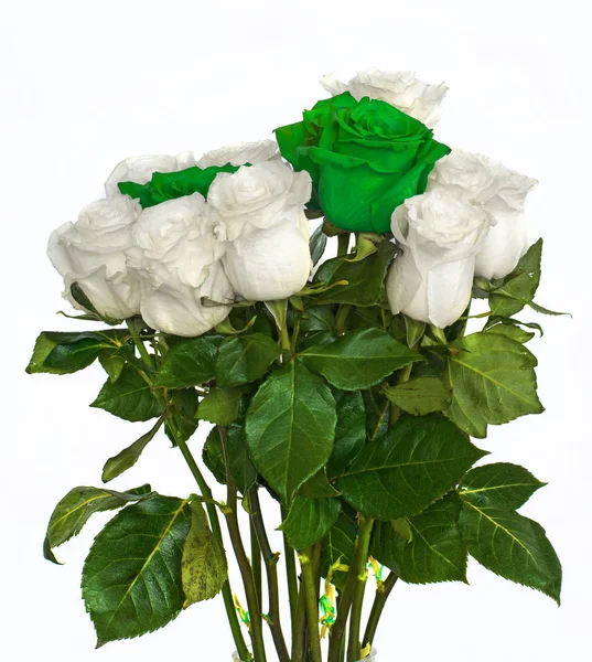 Grande lindo buquê de rosas, vermelho azul flores brancas e verdes em um fundo branco, rosas isolar . — Fotografia de Stock