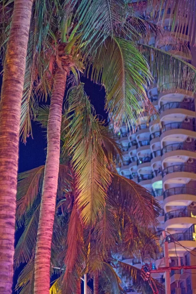 Vysoké mrakodrapy a krásné palmy, noční město v tropech, kombinace přírody a architektury. — Stock fotografie