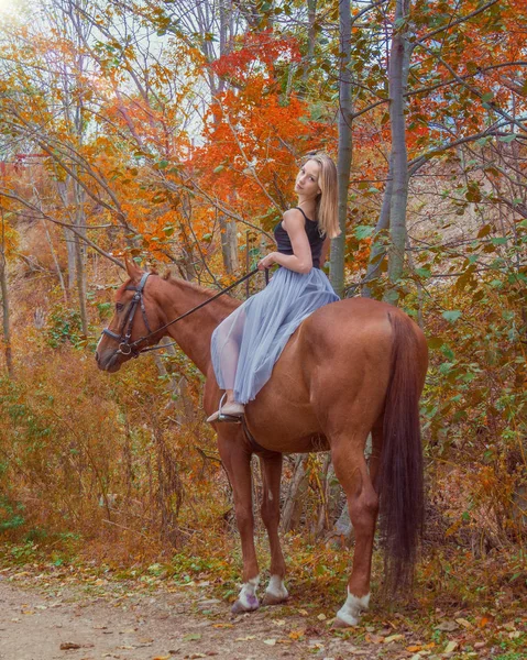 Mladá, blond dívka pózuje s koněm, krásná dívka a silné koně. — Stock fotografie