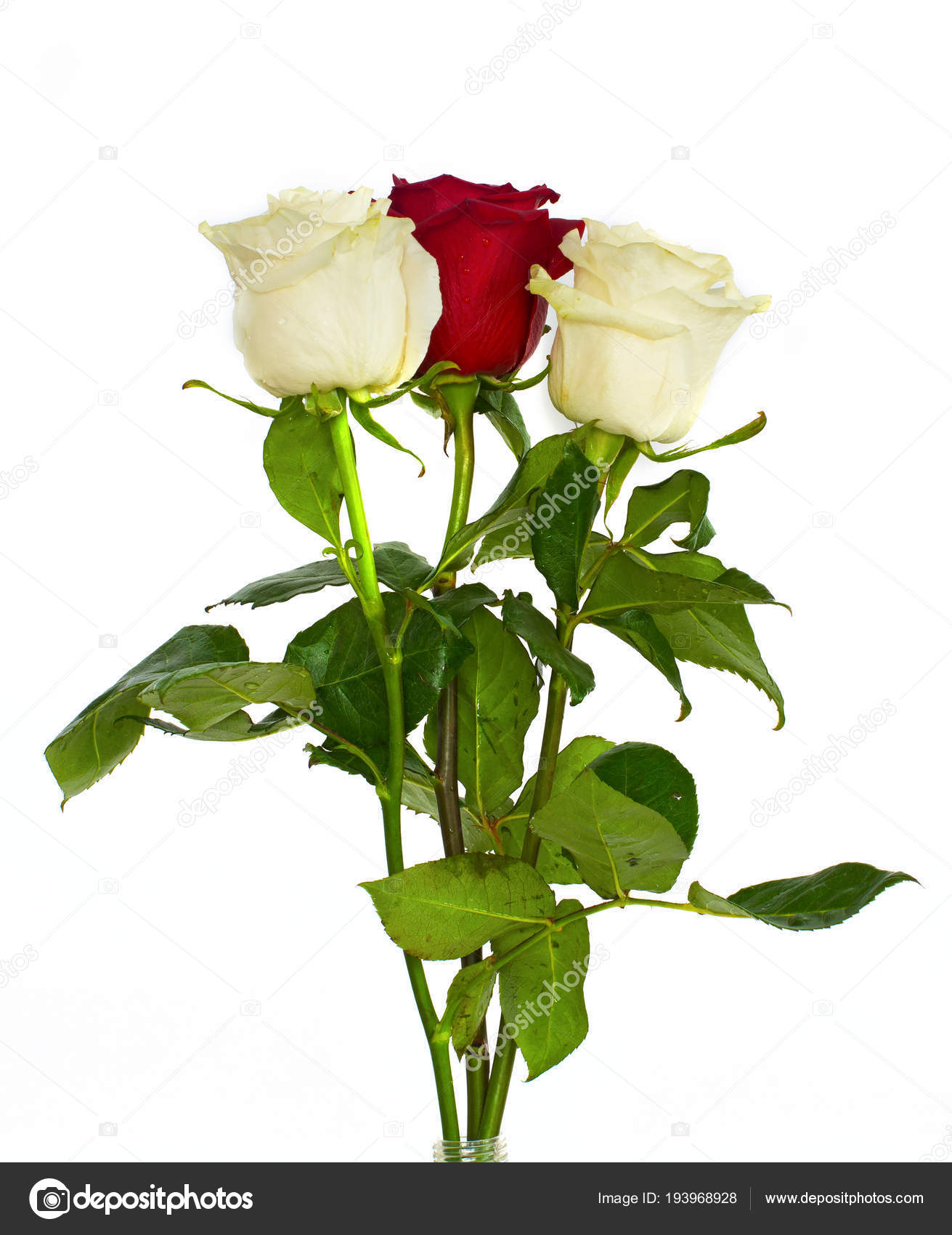 Grand Beau Bouquet De Fleurs Blanches Et Vertes Bleues Roses