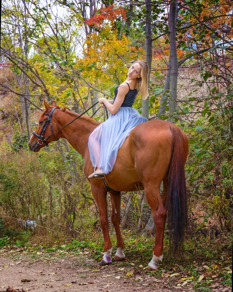 Μια νεαρή, ξανθιά κοπέλα ποζάρει με ένα άλογο, ένα όμορφο κορίτσι και ένα ισχυρό άλογο. — Φωτογραφία Αρχείου