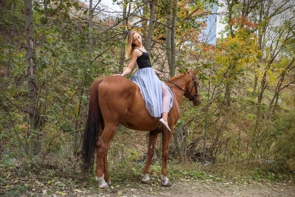 Uma jovem, menina loira posando com um cavalo, uma menina bonita e um cavalo forte . — Fotografia de Stock