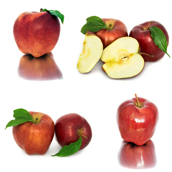 Viele verschiedene Äpfel auf weißem Hintergrund, rote und gelbe Äpfel ohne Hintergrund, viele verschiedene. — Stockfoto