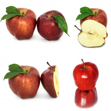 birçok farklı elma beyaz bir arka plan üzerinde kırmızı ve sarı elma olmadan arka planda, çok farklı.
