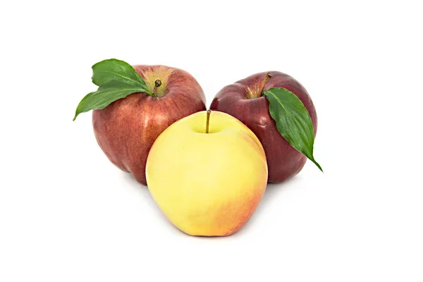 Manzanas hermosas, maduras y jugosas sobre un fondo blanco. hermosa fruta sin el fondo. manzanas . — Foto de Stock