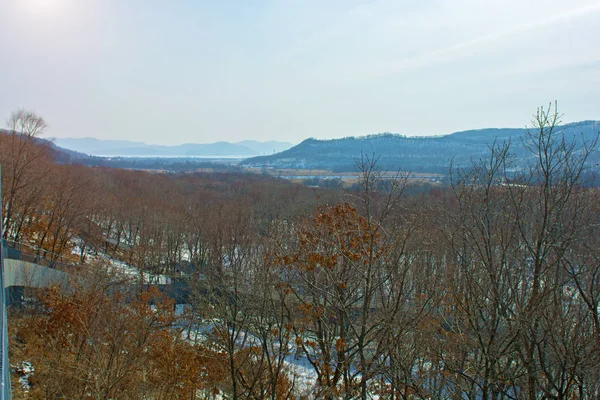 Vinter skog med höga broar för passage av personer, Park med djur och broar för personer. — Stockfoto