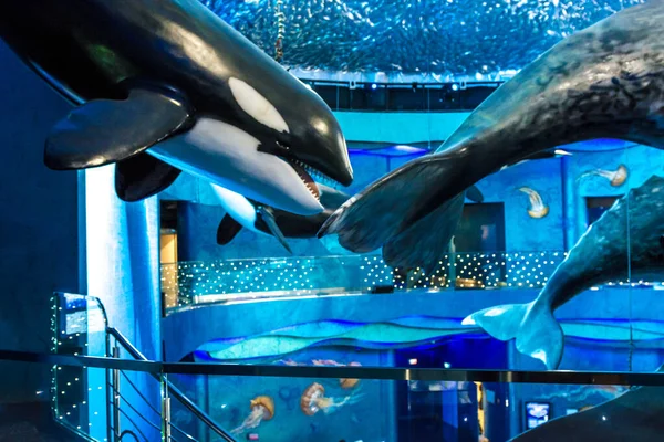 Aquarium on Russian island, many beautiful artificial fish decorate the interior inside the aquarium. — Stock Photo, Image