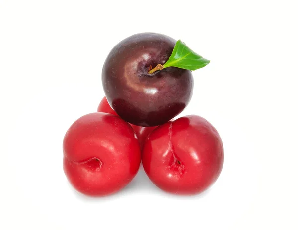 Prunes sur un grand fond, isoler. prunes vives noir ou rouge sans fond . — Photo