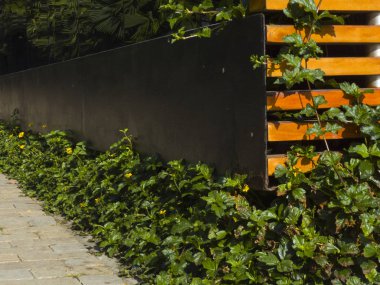 Esquina de pared de dos tipos de construccin diferente en madera.y cemento brillante negro con plantas verdes en la base