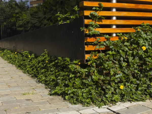 Esquina Pared Dos Tipos Construccin Diferentes Madera Cemento Negro Brillante — Foto de Stock