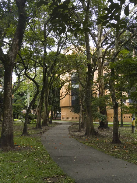 Parque Barrio Conquistadores Medellin Con Arboles Caminos Para Disfrutar Aire — 스톡 사진