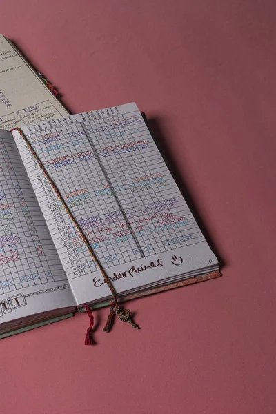 Cuadernos Bullet Journal Sobre Mesa Rosada Con Lista Tareas Seguimiento — Stock Photo, Image