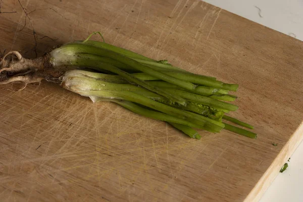 Raiz de cilantro cortada despus de la preacin. Para siembra casera y reproduccin de Plantas