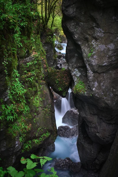 Triglavia and the falls — Stock Photo, Image