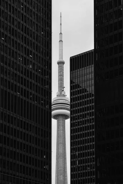 Wieża i budynki CN — Zdjęcie stockowe