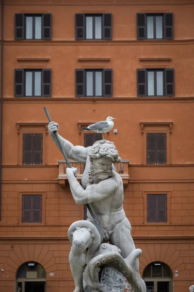 Piazza Navona e l'uccello — Foto Stock