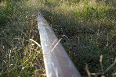 Terk edilmiş büyümüş tren yolu