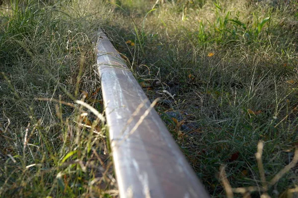 Terk edilmiş büyümüş tren yolu