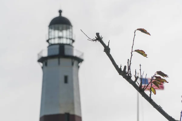 Höga majestätiska fyren längs kusten mot en ljus himmel bakgrund. Amerikanska flaggan vågor i vinden kommer offshore. Skärpedjup oskärpa bakom tom trädgren i höst — Stockfoto