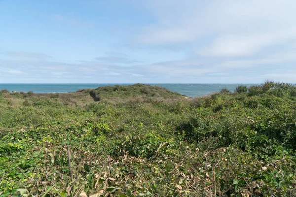 Hermosa vista panorámica del bosque tropical costero a lo largo del océano durante el día —  Fotos de Stock