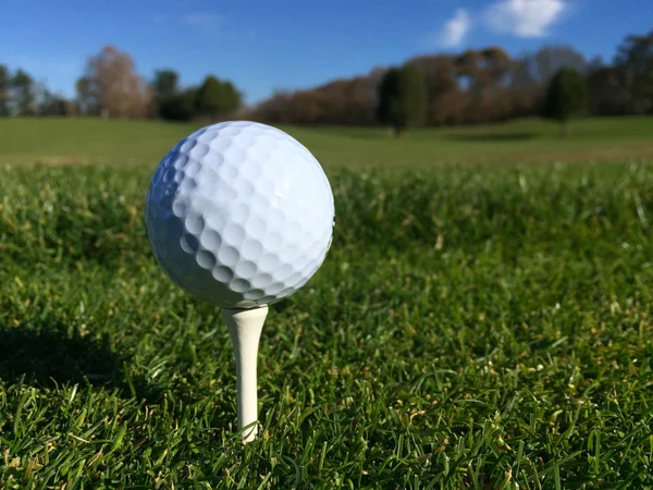 Generieke Witte Golfbal Zitten Tee Gras Een Golfbaan Wachten Worden — Stockfoto