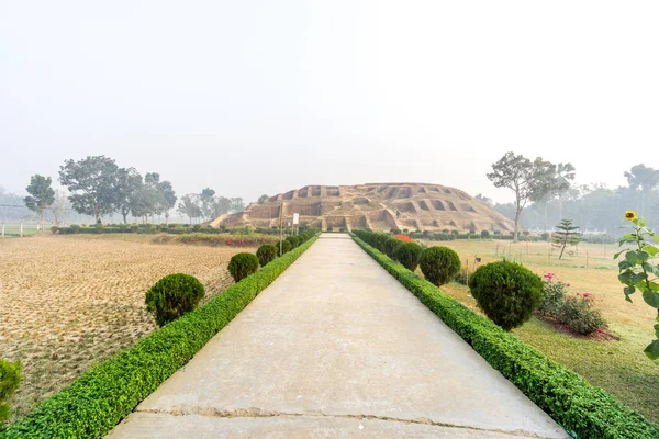 Mahasthangarh 考古遗址 图库图片