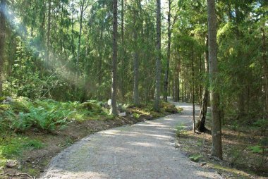 park manzarası gündüz dinlenmesi için
