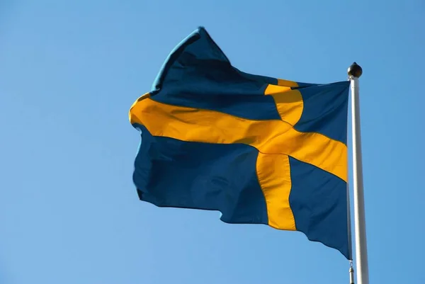 Landskap Mot Bakgrund Den Svenska Flaggan — Stockfoto